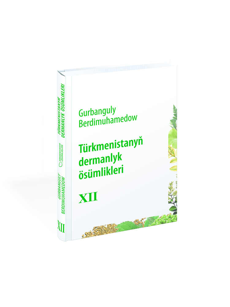 Türkmen tebigaty – dermanlyk otlar